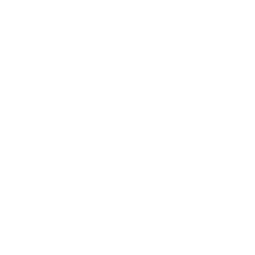 Detection Icon